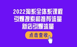 《第271期》2022淘系全体系课程...