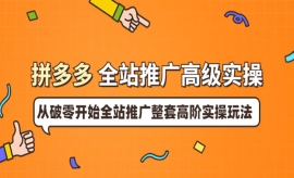 《第152期》拼多多全站推广高级...