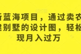 最新蓝海项目，通过卖农村自建别...