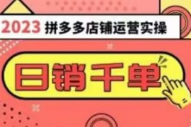 2023拼多多运营实操，每天30分钟...
