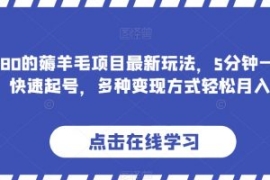 价值1980的薅羊毛项目最新玩法，...
