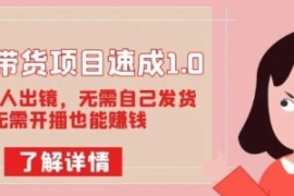 图文带货项目速成1.0：无需真人...