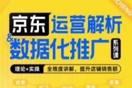 京东运营解析与数据化推广系列课...
