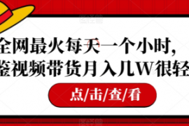 全网最火每天一个小时，借鉴视频...