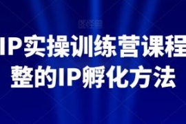 百万IP实操训练营课程，完整的IP...