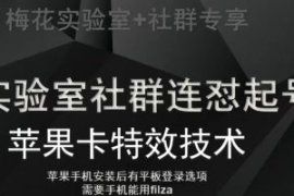 梅花实验室社群视频号连怼起号玩...