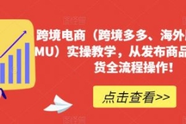 跨境电商（跨境多多、海外版多多...