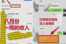 靠英语四级，一天1000+不懂英语...