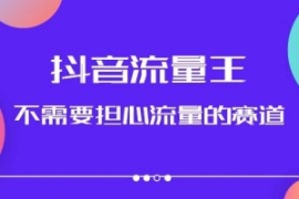 抖音流量王，不需要担心流量的赛...