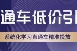 直通车低价引流课，系统化学习直...