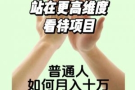 2023最火项目：站在更高维度看待...