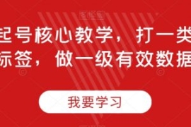 直播起号核心教学，打一类精准标...