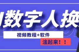 AI数字人换脸，可做直播，简单操...