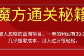 被人忽略的蓝海项目，魔方通关秘...