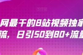 全网最干的B站视频独家引流，日...