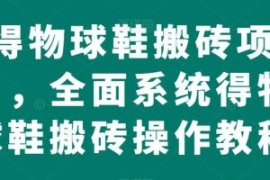 得物球鞋搬砖项目，全面系统得物...