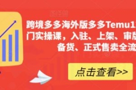 跨境多多海外版多多Temu12天快速...
