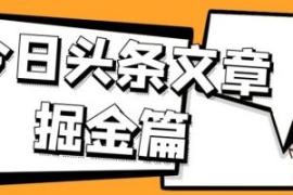 外面卖1980的今日头条文章掘金，...