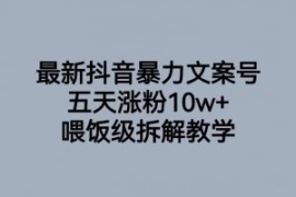 最新抖音暴力文案号，五天涨粉10...
