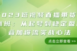 2023短视频直播带货培训班：从起...