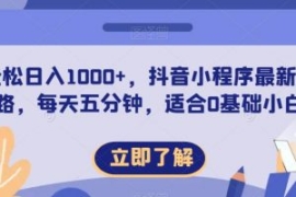 轻松日入1000+，抖音小程序最新...