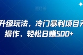 小红书升级玩法，冷门暴利项目无...
