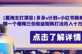 【蓝海主打项目】多多v计划+小红...