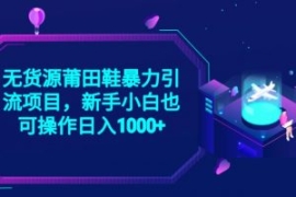 2023无货源莆田鞋暴力引流项目，...