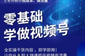 王老师教你低成本、做流量，零基...