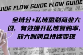 全域公+私域盈利商业大课，有效...