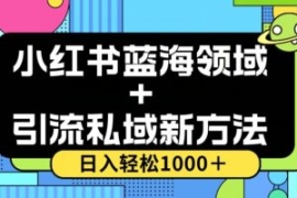 小红书蓝海虚拟＋引流私域新方法...