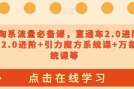 023淘系流量必备课，直通车2.0进...