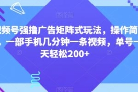 视频号强撸广告矩阵式玩法，操作...