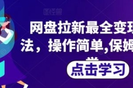 网盘拉新最全变现方法，操作简单...