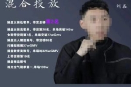 录客传媒·刘鑫-混合投放，优化...