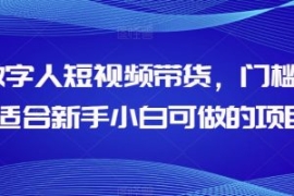 AI数字人短视频带货，门槛低，适...