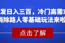 首发日入三百，冷门高需求消除路...