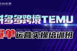 拼多多跨境TEMU爆单运营实操培训...