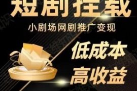 2023短视频蓝海项目，抖音快手短...