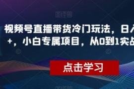 视频号直播带货冷门玩法，日入10...