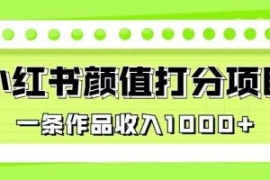 最新蓝海项目，小红书颜值打分项...