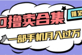 0撸项目月入过万，售卖全套ai工...