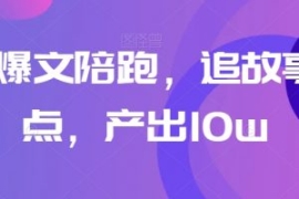 高阶爆文陪跑，追故事+热点，产...