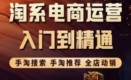 《第38期》淘系电商入门到精通 ...