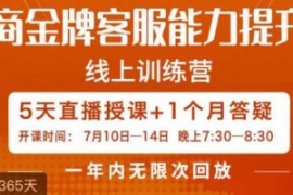 电商金牌客服能力提升班，提升客...