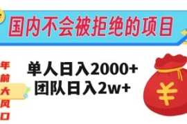 在国内不怕被拒绝的项目，单人日...