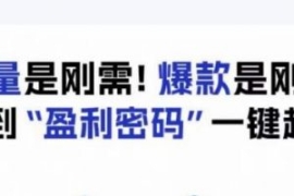 电商盈利精品课：6大盈利密码让...