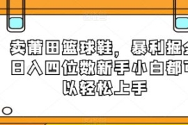 卖莆田篮球鞋，暴利掘金日入四位...