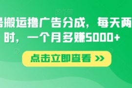 视频号搬运撸广告分成，每天两个...