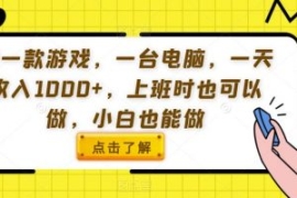 用一款游戏，一台电脑，一天收入...